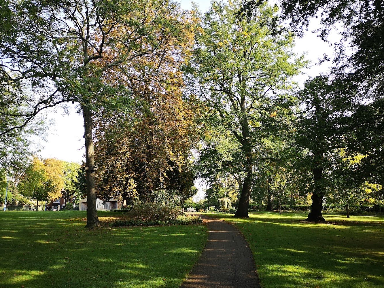A tree-lined pathway through Herschel Park, Slough.